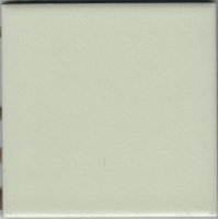 Керамическая плитка Vitra, М10х10, RAL 1208010 L.Green matt